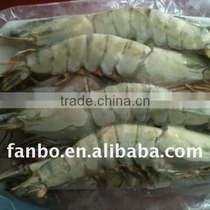 Black Tiger Shrimp(new Coming ) thumbnail-1