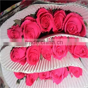Cheap Rose Flower Buy From Flower Planting Base in China thumbnail-1