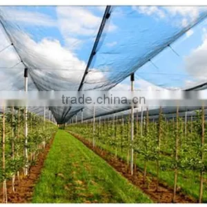 Anti Hail Structure Netting thumbnail-1
