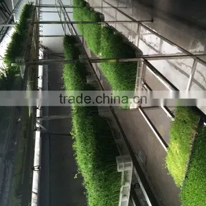1000-100000KG/DAY Automatic Heating and Watering Hydroponic Fodder Production Line thumbnail-2