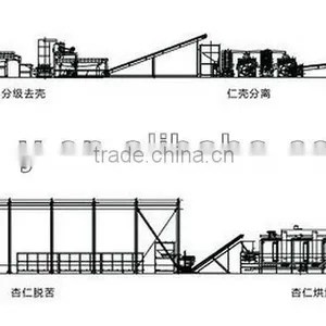 Hot Sale Apricot Pit Shelling Production Line(XHTK-500) thumbnail-1
