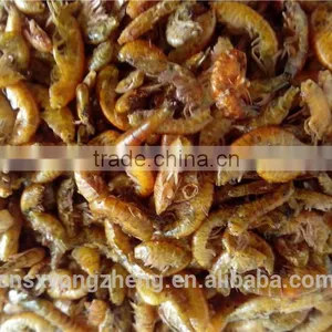 Fish Food High Protein Freeze 1 cm Dried Gammarus;gammarus for Fish thumbnail-1
