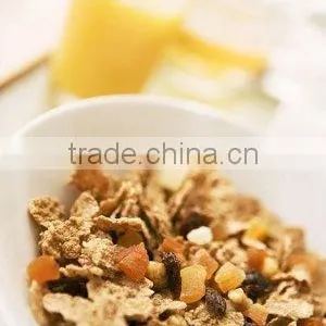 The CY65-II Fried Maize Food/corn Flaks Machine Line/plant thumbnail-4