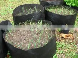USA Quanlity Smart Pots Hydro for Flower System Smart Non Woven Plant Bag (1 Gal to 1200 Gal) thumbnail-5