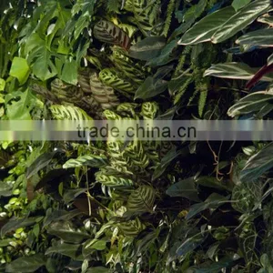 Factory Price Natural Looking Artificial Plant Wall, Vertical Artificial Green Wall,indoor or Outdoor thumbnail-4
