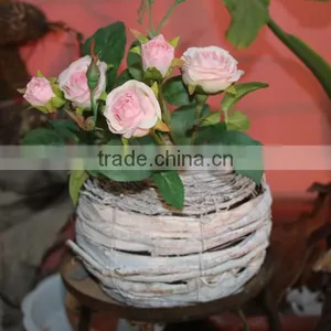 10" Wash White Rattan Garden Flower Pot for Spring and Winter thumbnail-1