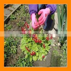 Junior Digger Kids Gardening Gloves For Children's Outdoors Play thumbnail-1