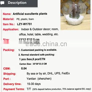 Artificial Succulents Wholesale Bonsai Potted Small Plant Table Artificial Preserved Plant thumbnail-2