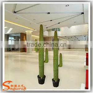 Latest Design Home Decoration Craft Artificial Cactus Plants Make Decoration Plastic Cactus and Plants thumbnail-3