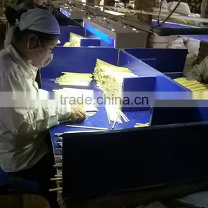 High Quality _ Bamboo_twin_chopsticks thumbnail-5
