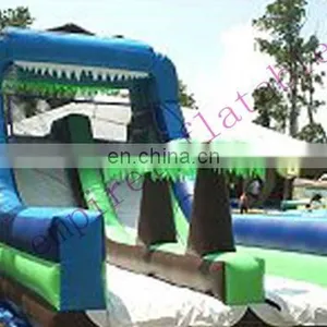 Hot Sale Giant Inflatable Water Slide WS011 thumbnail-1