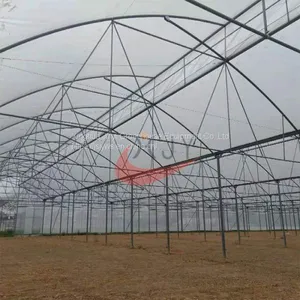 Saw Tooth Greenhouse China Glass Greenhouse Manufacturer thumbnail-3