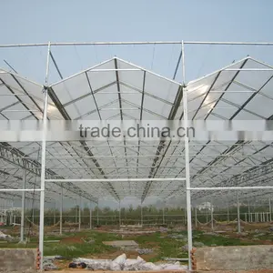 Agricultural Commercial Greenhouse thumbnail-2