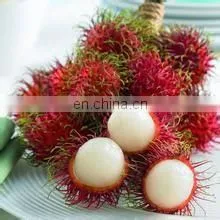 Shanghai Electric Rambutan Peeler Machine & Equipment thumbnail-3