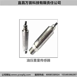 Wanpu Technology Tlx58c Rugged Terrain Crane Load Limiter Supplier thumbnail-4