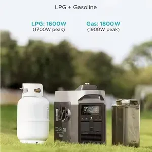 Generator Cerdas EcoFlow Berkapasitas Tinggi 220V Dual Fuel, Tenaga Gas Cair Dan Panel Surya, Cadangan Daya Darurat Dengan Remote thumbnail-5