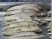 Frozen Cooked Bonito Tuna Loin (auxis Thazard Loin) thumbnail-1