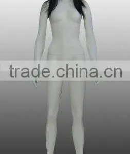 Display Model Female Model Woman Model thumbnail-1