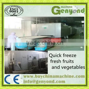 Instant Industrial Cryogenic Machine/ Tunnel Quick Freezer thumbnail-1