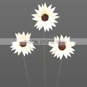Palm-Sunflower thumbnail-1