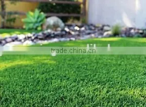 Landscape and Golf Turf thumbnail-1