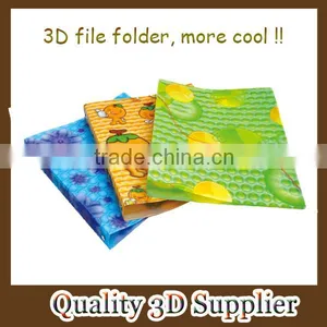 Hot Sale 3D Lenticullar File Folder thumbnail-1