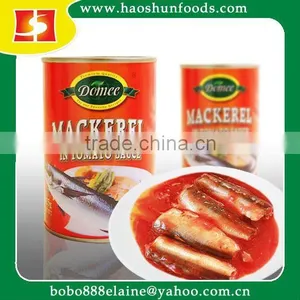 HACCP Canned Sardine Fish In Tomato Sauce thumbnail-1