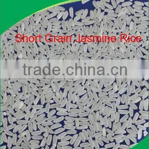 VIETNAM SHORT GRAIN WHITE RICE 15% BROKEN thumbnail-1