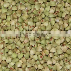 High Quality Raw Buckwheat Kernel thumbnail-1