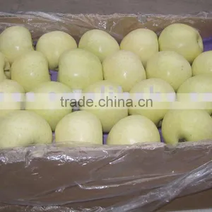Golden Apple thumbnail-1