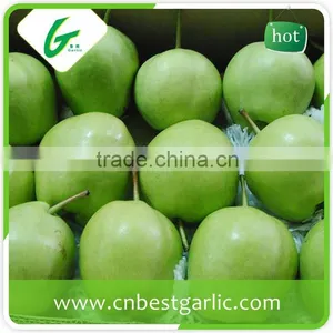 Cheap Bulk su Pear thumbnail-2