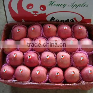 Sell Yantai Fully Blush Fresh Fuji Apple thumbnail-1
