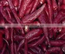 Dry Chilli thumbnail-1