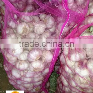 Certificated HACCP HALAL Exported Fresh Garlic White Garlic thumbnail-2