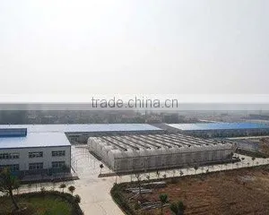 Yueqing Lumen Illumination Co., Ltd. company overview - view 1 thumbnail