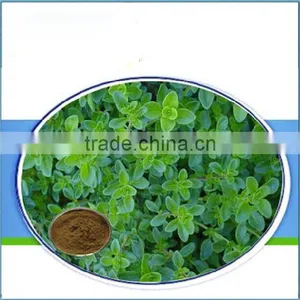 Factory Supply 100% Natural Thyme Extract Thymol Powder From Plant Extract in China thumbnail-1