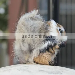 6 Inch Plastic Toy Squirrel thumbnail-5