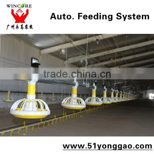 Automatic Poultry House Animal Feeding Line for Broiler Chicken Poultry Equipment in Animal Feeding System thumbnail-4