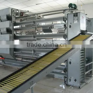 Poultry Farm Equipment for Raising Chickens on Ground thumbnail-5