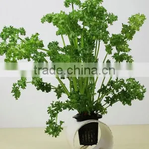 High Quality Hydroponic Net Pot,hydroponic Stacking Pot thumbnail-2