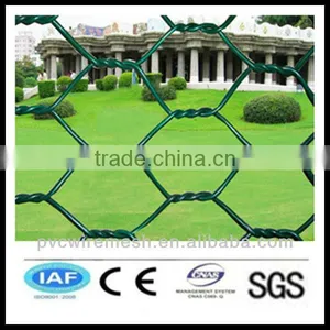 China Wholesale CE&ISO Certificated Plant Protection Hexagonal Wire Mesh(pro Manufacturer) thumbnail-1