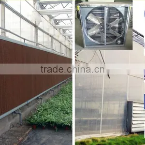 Polycarbonate Greenhouses China thumbnail-3