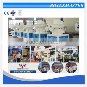 Ring Die Wood Pellet Machine/Making Machine/Wood Pellet Production Line thumbnail-5
