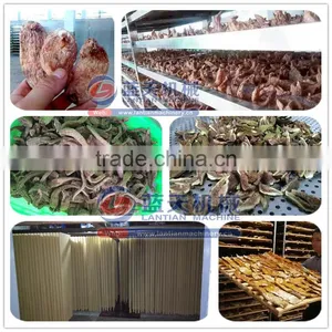 Industrial Food Dehydrator Machine / Hot Air Dryer For Fruit And Vegetable,Meat,Fish thumbnail-4