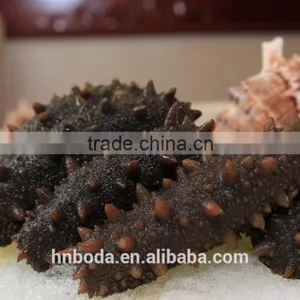 Tunnel Conveyor Belt Sterilizer Seaweed Dryer thumbnail-2
