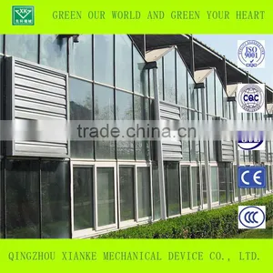 Vegetable Venlo Multi-span Glass/ pc Sheet Greenhouse With Factory Price thumbnail-2
