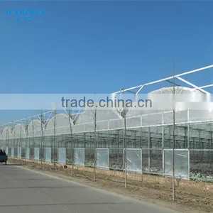 Commercial Used Galvanized Steel Frame Multi Span Greenhouse/Invernadero thumbnail-2