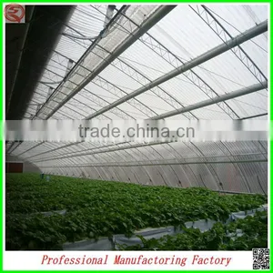 Venlo Agricultural pc Sheet Vegetable/fruit/flower Greenhouse thumbnail-6