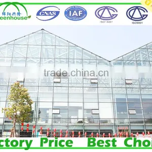 Used Commercial Glass Greenhouse for Sale thumbnail-2