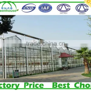 Venlo Type Glass Greenhouse for Cold Area thumbnail-1